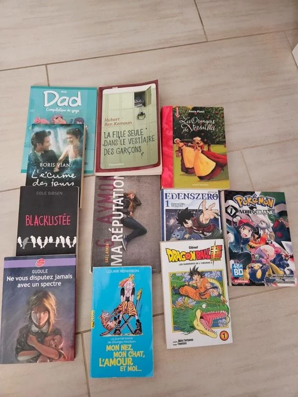 Livros de bolso, tamanhos grandes – photo 9